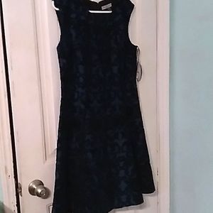 Danny & Nicole Size 12 Dark Green & Black dress